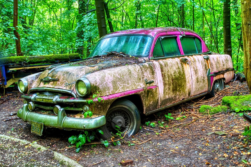 HDR Auto Skulpturen Park museum Neandertal oldtimer urbex decay abandoned derelict abandonne Michael Fröhlich froehlich Duitsland deutschland kunst art